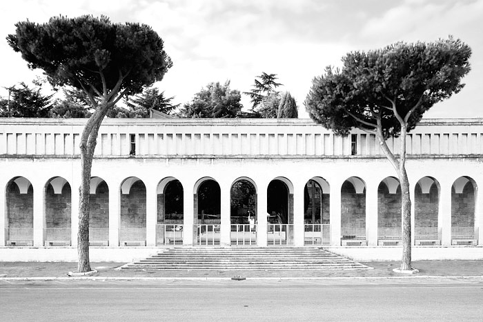 _DSF6912-3-bw.jpg