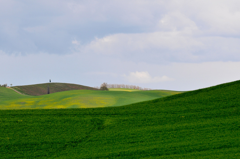 _FBDSC_6012.jpg
