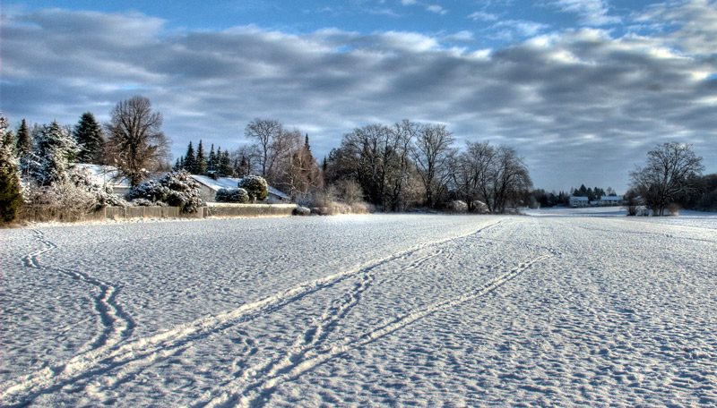 _GAR0034_tonemapped.jpg