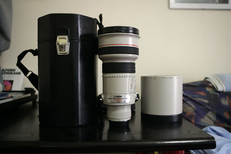 _I6Q2603.JPG