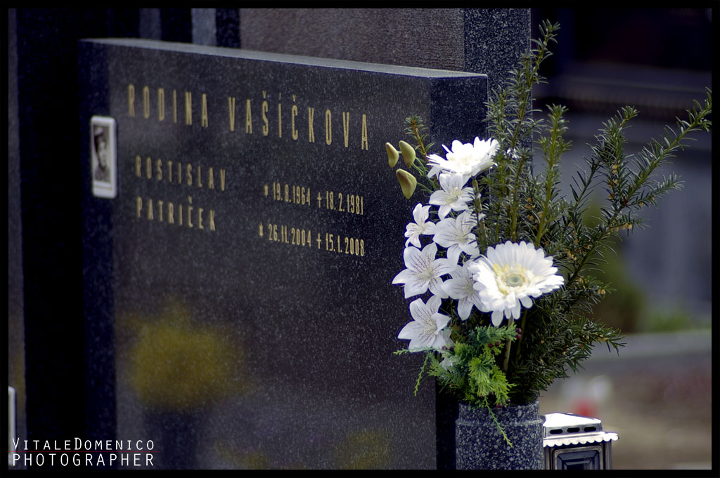_IGP5202photo.jpg