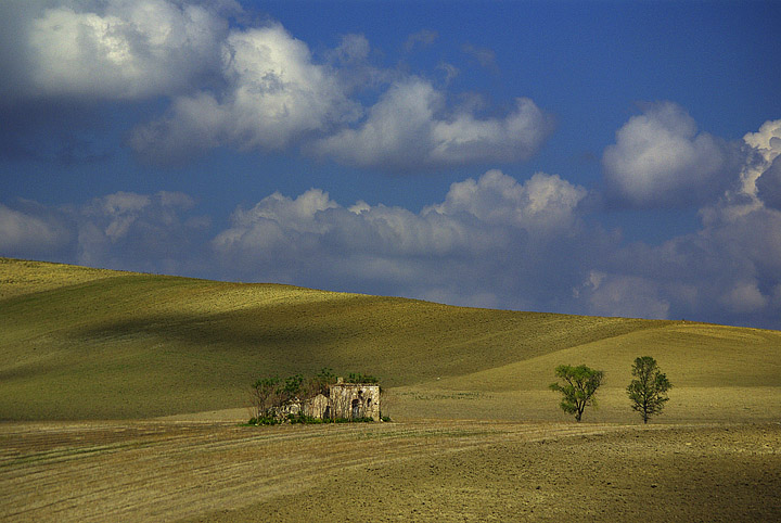 _IGP8072.jpg
