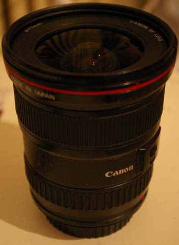 _IGP8428.jpg