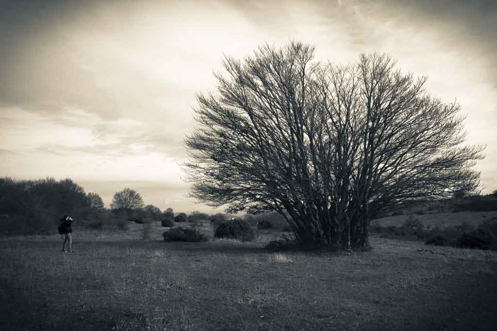 _IMG_5096.jpg