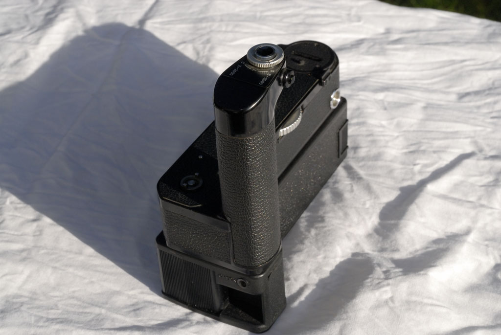 _LEO00781.jpg