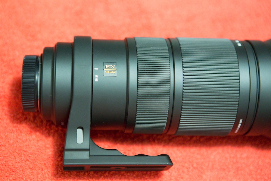_MG_0006.jpg
