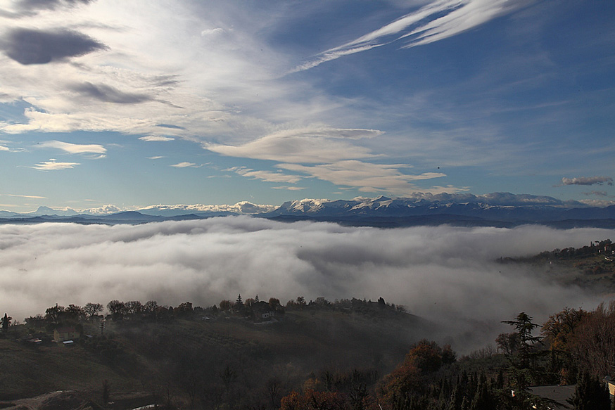 _MG_0008.JPG