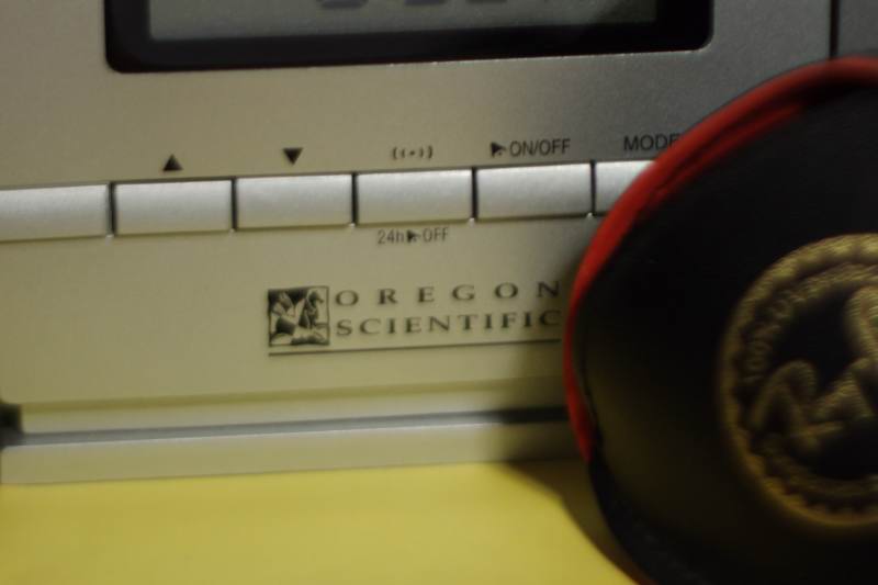 _MG_0010 crop.jpg