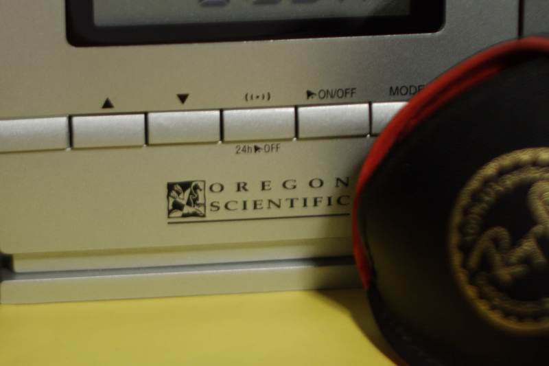 _MG_0011 crop.jpg