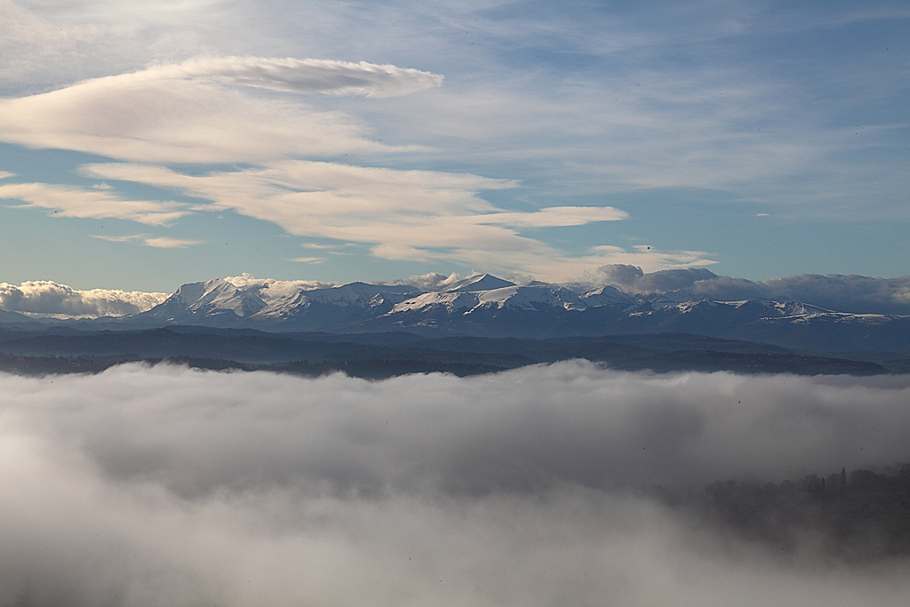 _MG_0014.JPG