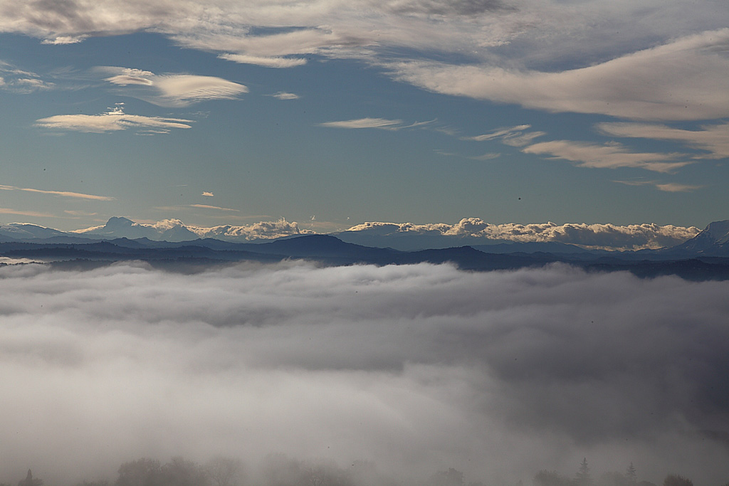 _MG_0021.JPG