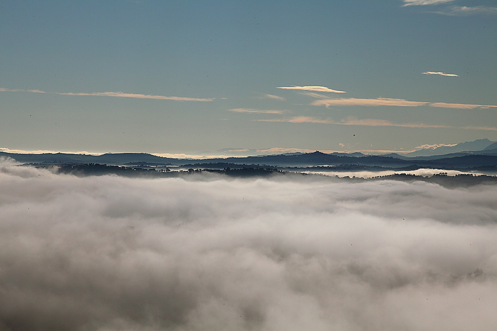 _MG_0024.JPG