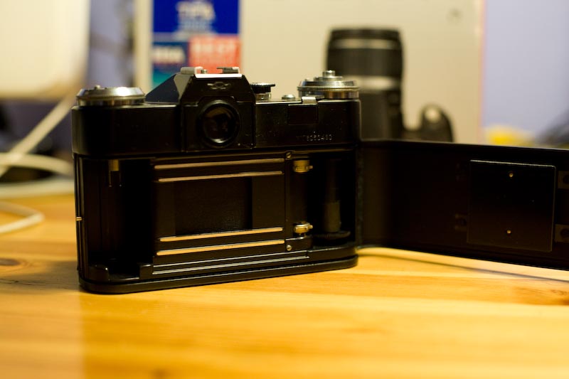 _MG_0027.jpg
