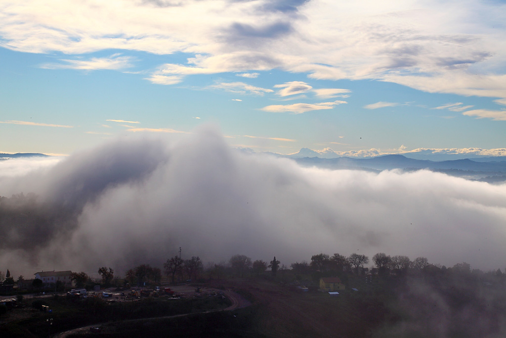 _MG_0037.JPG