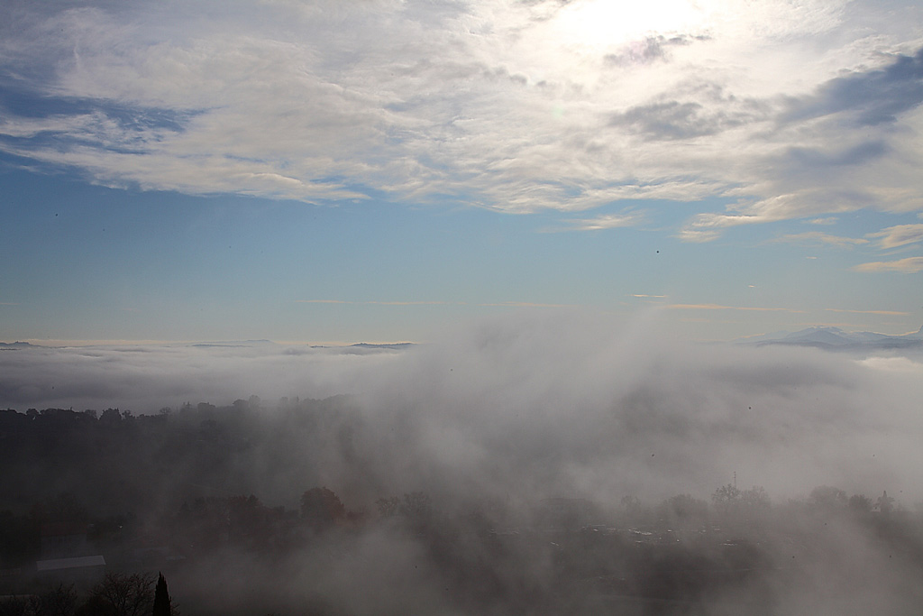 _MG_0040.JPG