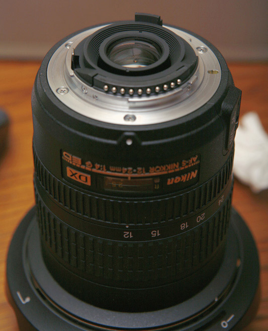 _MG_0111.jpg