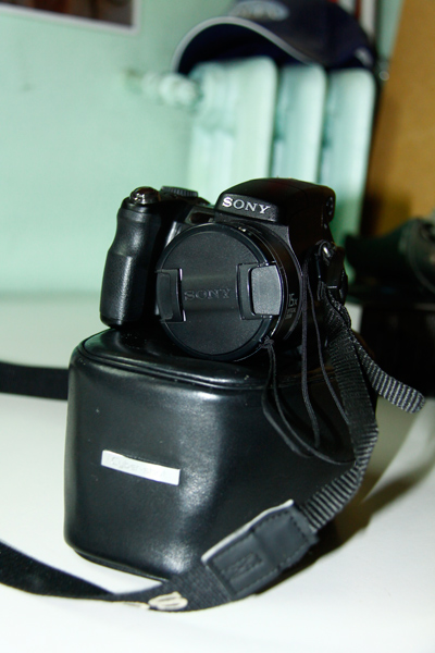 _MG_0246.JPG