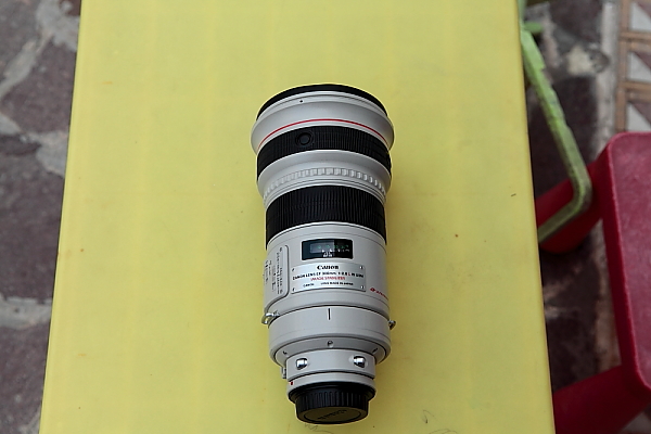 _MG_02890.JPG