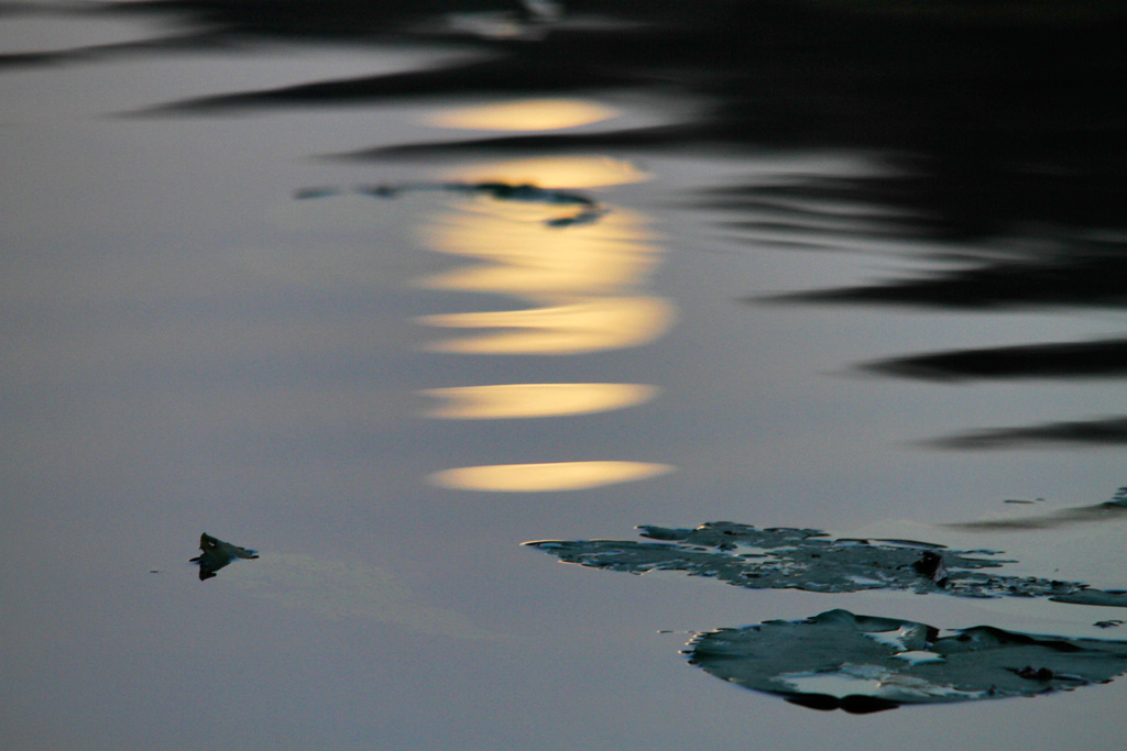 _MG_0307_riflessi-di-luna.jpg