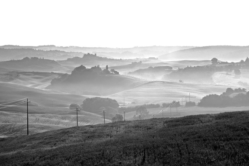 _MG_0313.jpg
