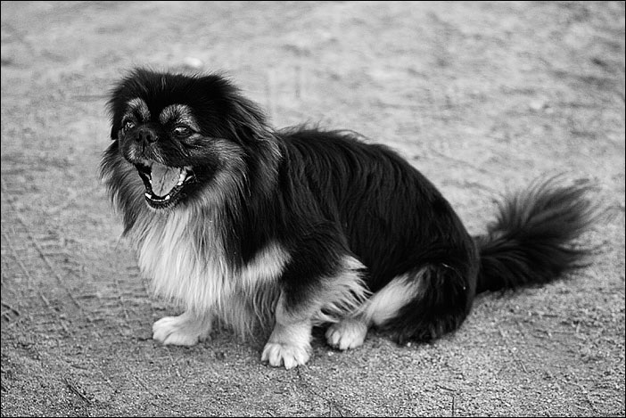 _MG_0521bn.jpg