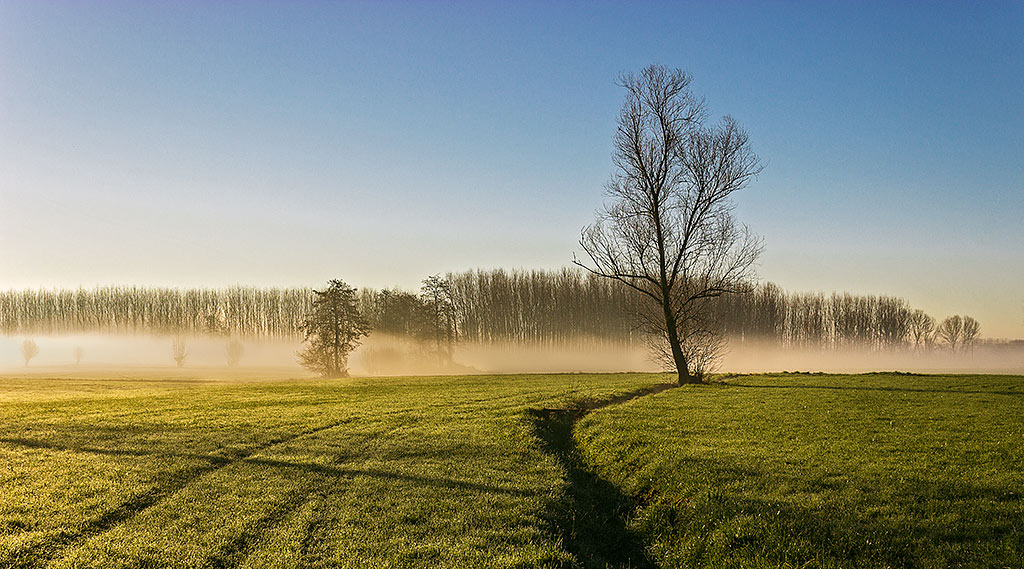 _MG_0596.jpg