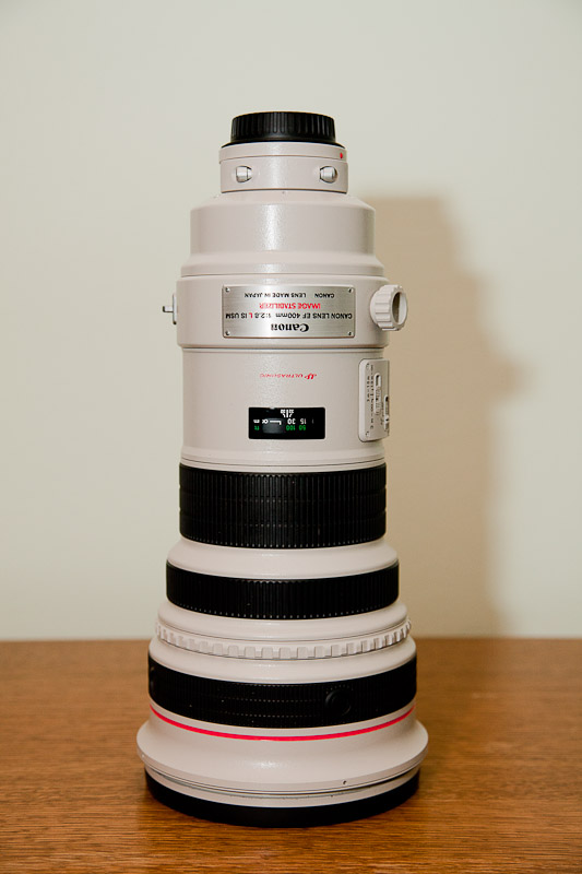 _MG_0775.jpg
