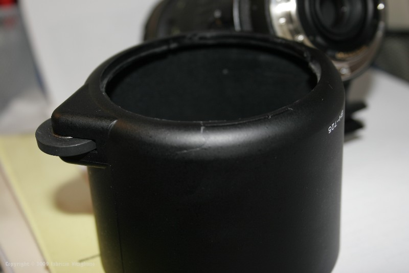 _MG_1075.jpg