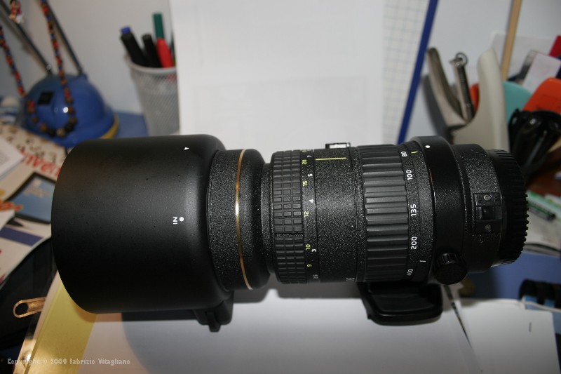 _MG_1076.jpg
