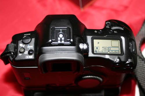 _MG_1081.JPG