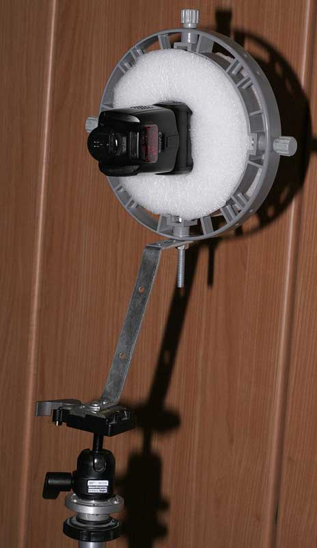 _MG_1148.jpg