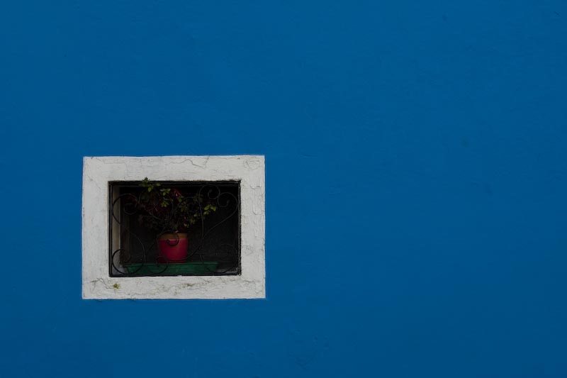 _MG_1193.jpg
