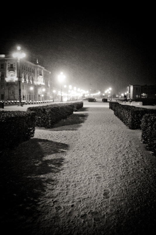 _MG_1270b.jpg