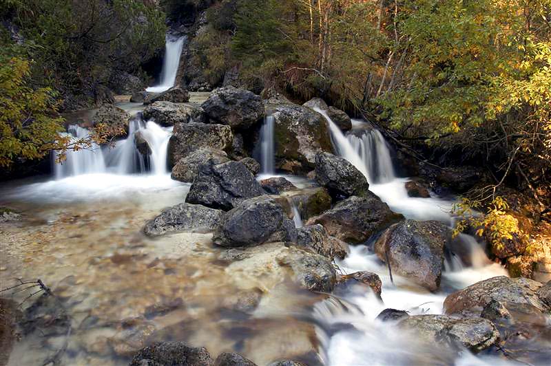 _mg_1381__medium__535.jpg