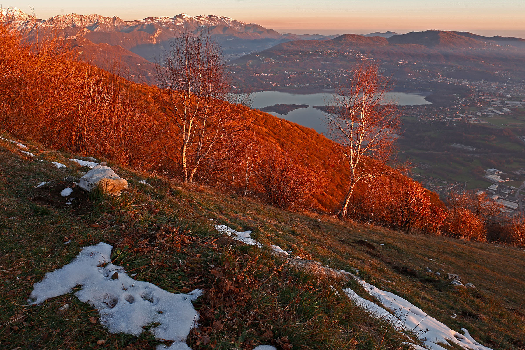 _MG_1486.jpg