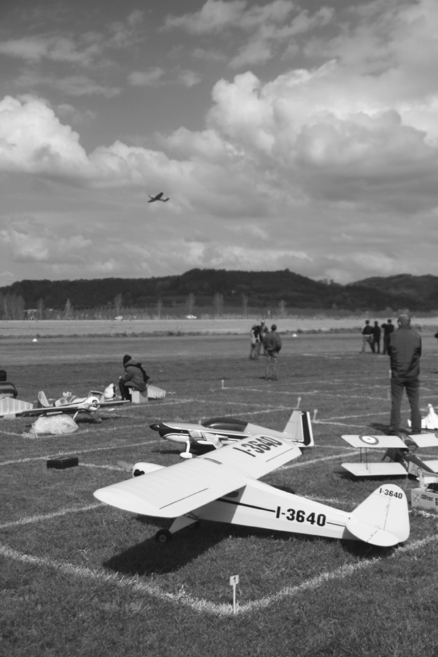 _MG_1503.jpg