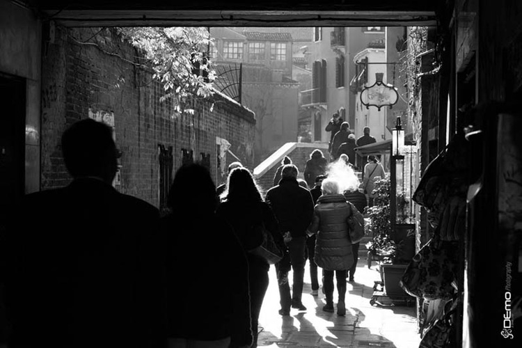 _MG_1567.jpg