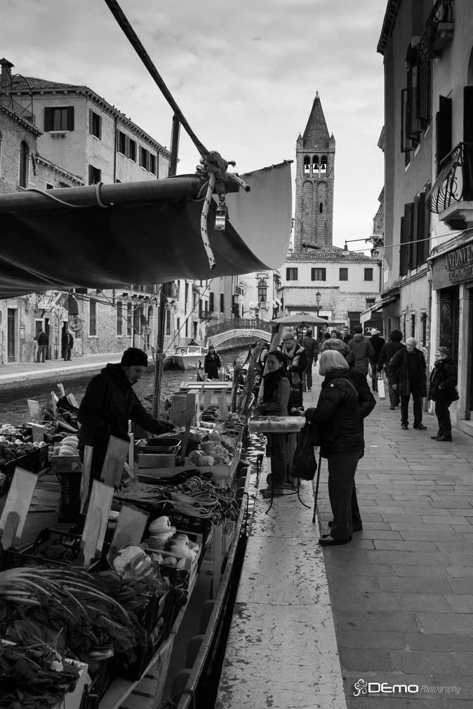 _MG_1640.jpg