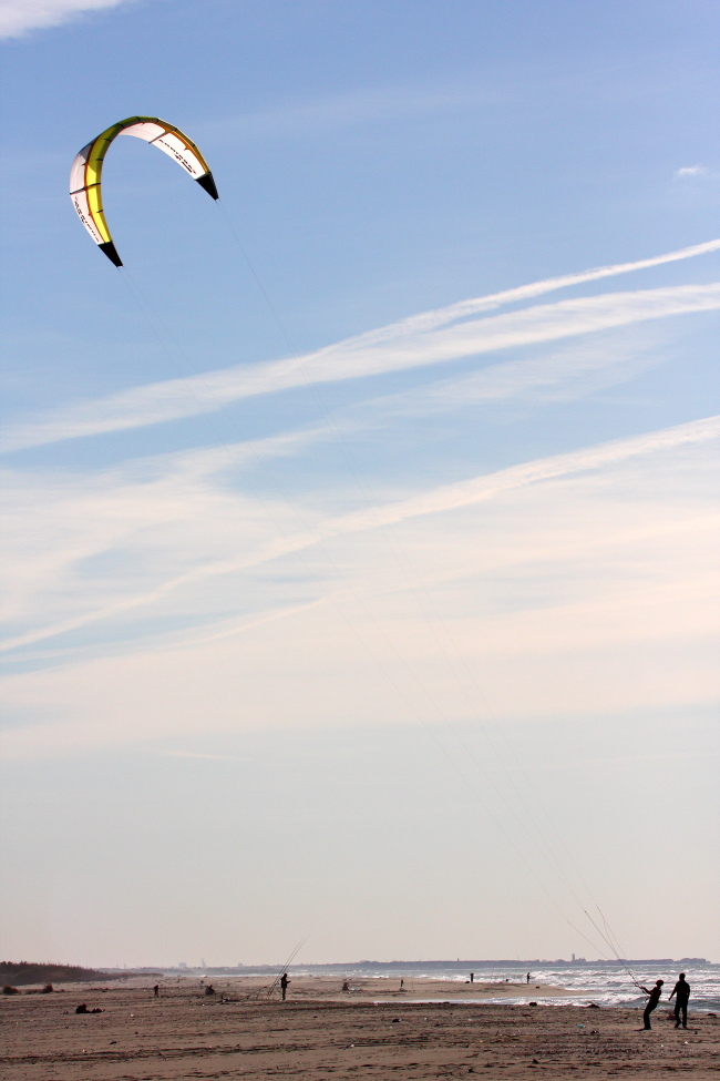 _MG_1694 p.JPG