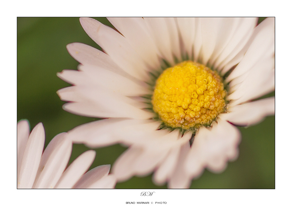 _MG_1721-2a.jpg