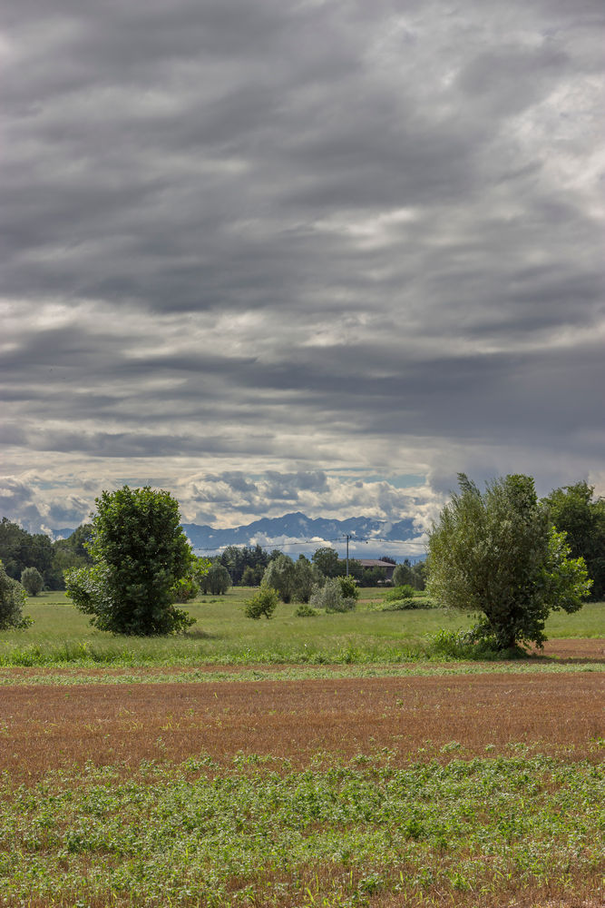 _MG_1852.jpg