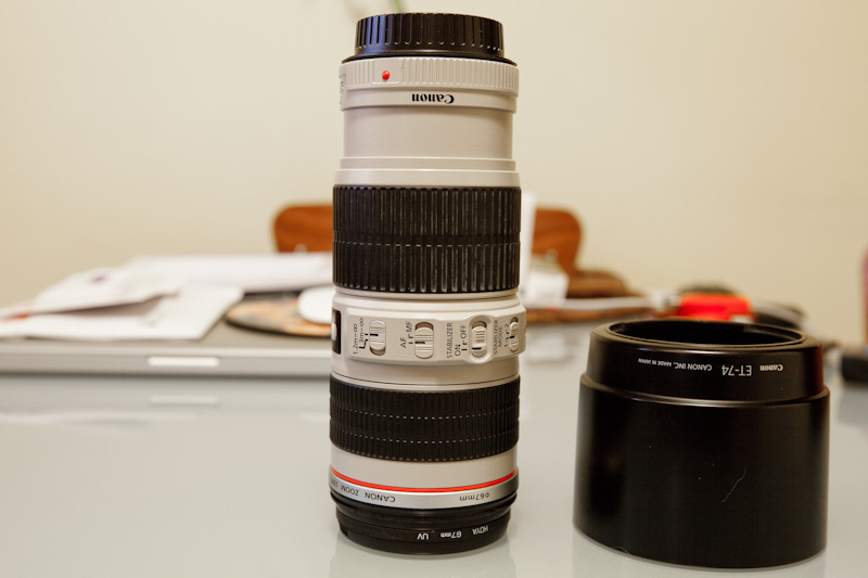 _MG_2087.jpg