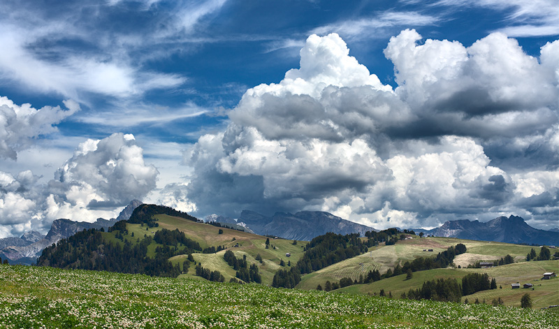 _MG_2719-come-oggetto-trattata.jpg