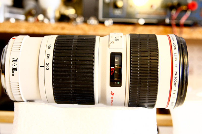 _MG_2740.jpg