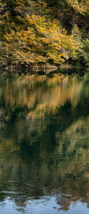 _MG_2770-trattata-ritaglio.jpg