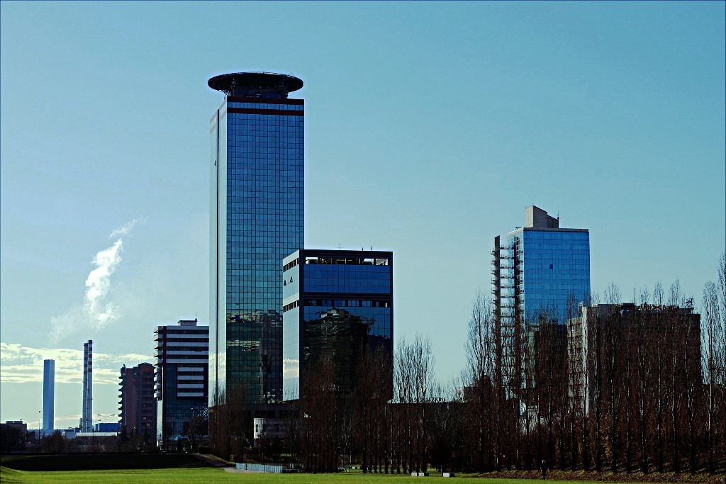 _MG_3131e.jpg