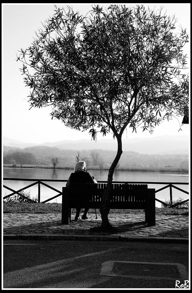 _MG_3164-copia.jpg