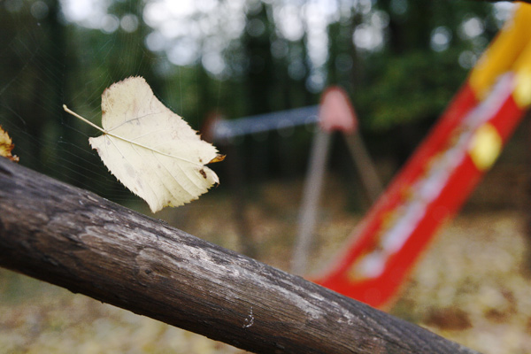 _MG_3184.jpg
