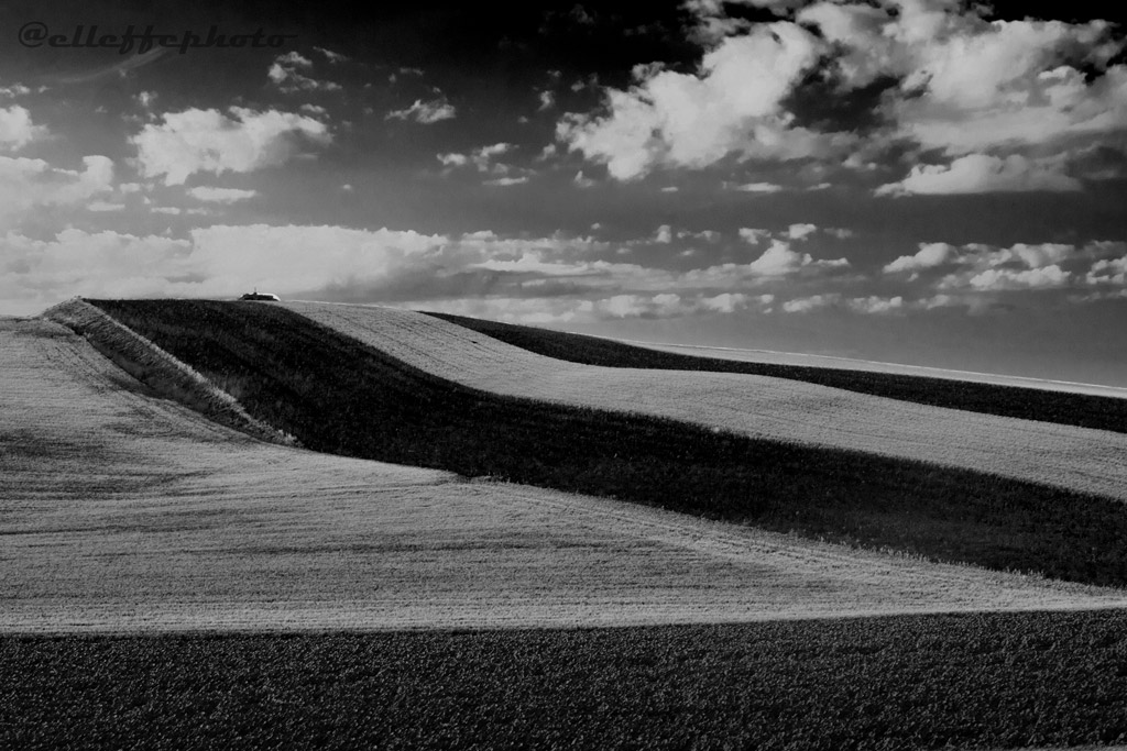 _MG_3188.jpg