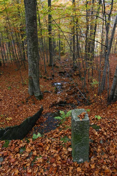 _MG_3204.jpg